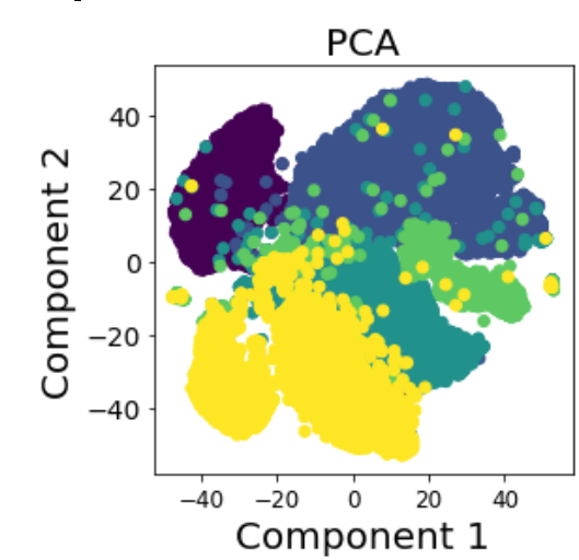 PCA by cell line